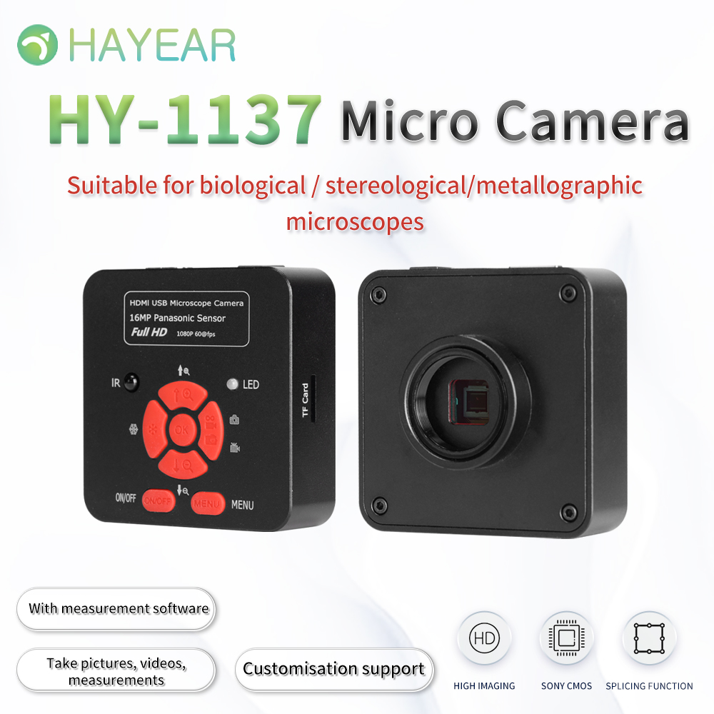 HAYEAR 41mp 2K HDMI Microscope Camera high speed C mount 110-240V Plug
