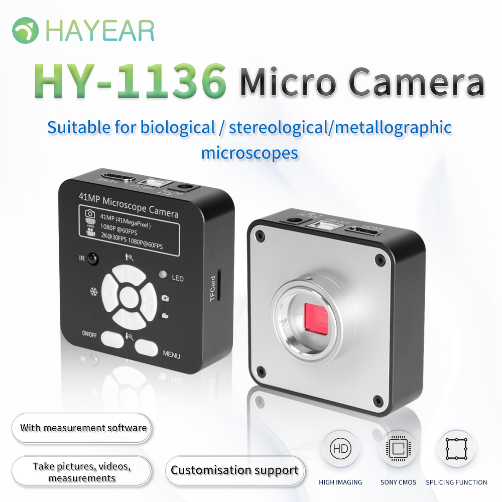 HAYEAR 41mp 2K HDMI Microscope Camera high speed C mount 110-240V Plug